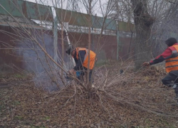 В Морозовске прошлись по сухим веткам, чтобы обезопасить людей и тротуары