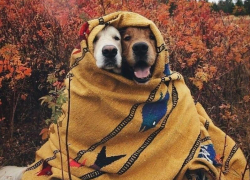 Похолодание до +4 обещают морозовчанам в середине недели