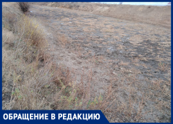 Река на последнем издыхании, - жители хутора Морозов