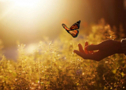 Ясный день без осадков и до 25 градусов тепла ожидается в Морозовске 26 мая