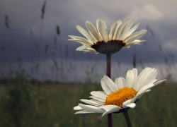 Пасмурно, но без осадков будет в Морозовске в субботу, 13 июня