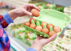 Почему в Ростовской области выросли цены на яйца, объяснил замгубернатора Константин Рачаловский