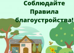 61 протокол за неисполнение требований правил благоустройства территорий поселений рассмотрела администрация Морозовского района за год