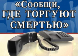 Акция «Сообщи, где торгуют смертью» снова началась в Морозовске