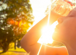 Температура воздуха в Морозовске поднимется еще на несколько градусов