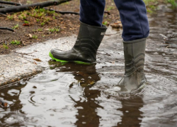 Последний февральский день этого года окажется пасмурным и относительно теплым