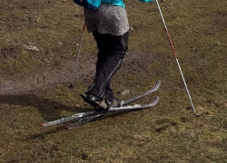 Потепление до +9 обещают морозовчанам в середине недели