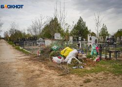 Обработку от клещей перенесли: когда теперь ждать дезинфекцию в Морозовске