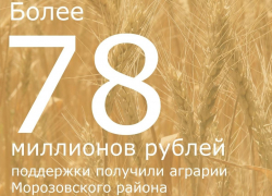 Более 78 миллионов рублей субсидий получили аграрии Морозовского района в 2022 году