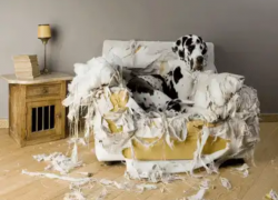 Испортилась мебель? Загляни в Справочник