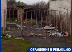 «Свалка под окнами и доберманы без контроля»: жители улицы Руднева просят срочного вмешательства властей