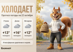 Холодает: прогноз погоды на 22 октября