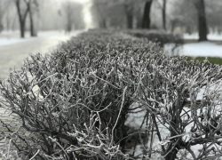 В Морозовском районе объявлено штормовое предупреждение