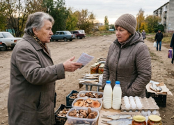Молоко, яйца и мясо «с рук»: чем рискуют покупатели в Морозовском районе
