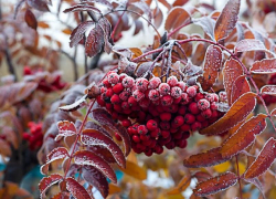 Пасмурно и холодно будет в Морозовске в праздничный день 12 декабря