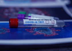 Есть данные на 10 ноября: подтвержденных случаев COVID-19 в Морозовском районе 301, выздоровлений - 136, умерших - 10