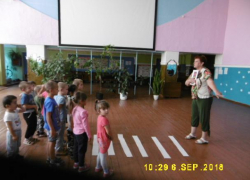 Беседу «Красный, желтый, зеленый» провели с детьми в Доме культуры станицы Вольно-Донской