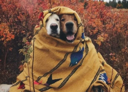 Ветер и всего +18 градусов тепла обещают морозовчанам в конце недели