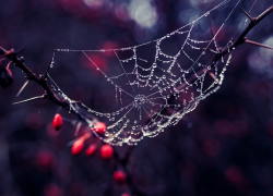 Ночью в Морозовске может пойти небольшой дождик