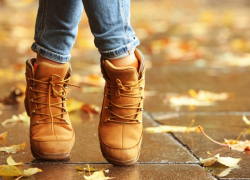 Всего +5 градусов тепла обещают синоптики в пятницу, 12 ноября