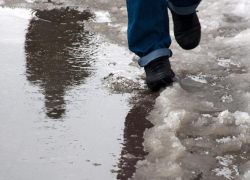 До 8 градусов тепла обещают морозовчанам в пятницу, 3 декабря