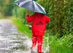 Последний день уходящего месяца в Морозовске окажется пасмурным 