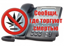 Морозовский и Милютинский районы присоединились ко всероссийской акции «Сообщи, где торгуют смертью»