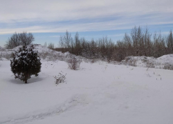 Снежная погода сохранится в Морозовске на всю предстоящую неделю