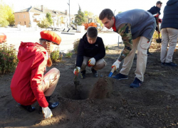 20 кустарников роз высадили в Морозовске в память о погибших солдатах в Великой Отечественной войне