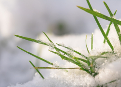 +4 будет в Морозовске в понедельник