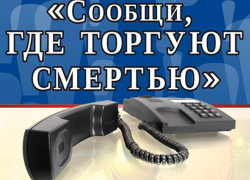 Всероссийская акция «Сообщи, где торгуют смертью» стартовала на территории Морозовского и Милютинского районов