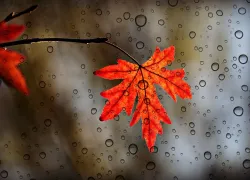 Слабый дождь может пройти в Морозовске во вторник