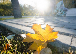 Суббота в Морозовске обещает быть солнечной и очень теплой