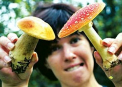 5 важных советов по безопасному употреблению грибов дал заведующий поликлиникой в Морозовске