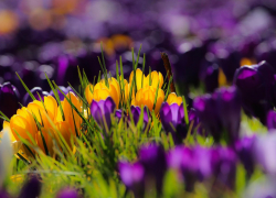 +15 и без дождя будет в Морозовске в понедельник