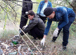 Любимое у морозовчан место отдыха "Дубки" очистили от бытового мусора