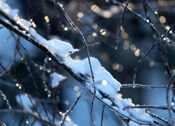 Морозовчан снова предупреждают о перепадах температуры