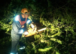 Поваленное порывами ветра дерево заблокировало автодорогу в Морозовском районе