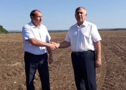 Рекордный урожай ранних зерновых и зернобобовых культур получил Морозовский район