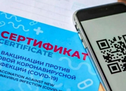 Получить бумажный сертификат о вакцинации против COVID-19 морозовчане смогут через МФЦ