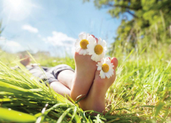 До +31 градуса в тени обещают синоптики 1 июля