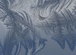 Морозную и солнечную погоду прогнозируют синоптики на выходных