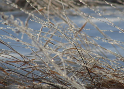 Сильный ветер и до -11 градусов мороза обещают синоптики в конце недели