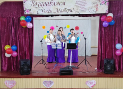 Душевный концерт и выставку детских рисунков подготовили ко Дню матери в Сибирьчанском сельском клубе 