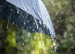 Дождь и всего +16 градусов тепла обещают морозовчанам в среду, 19 мая