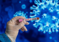 14 января: в Морозовском районе коронавирусом заболели еще пять человек