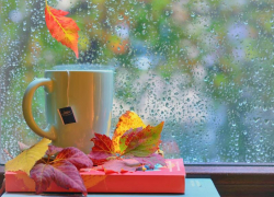 Пасмурная погода с небольшим дождем ожидается в Морозовске в среду, 21 сентября