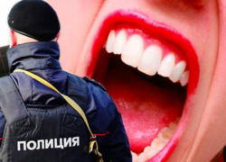 Женщина в хуторе Грузинов оскорбила участкового и получила 180 часов принудительных работ
