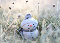 Небольшое похолодание придет в Морозовский район в середине недели