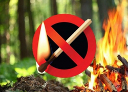 Экстренное предупреждение: в Морозовском районе ожидается высокая пожароопасность